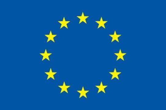 EU Flag EU Flag